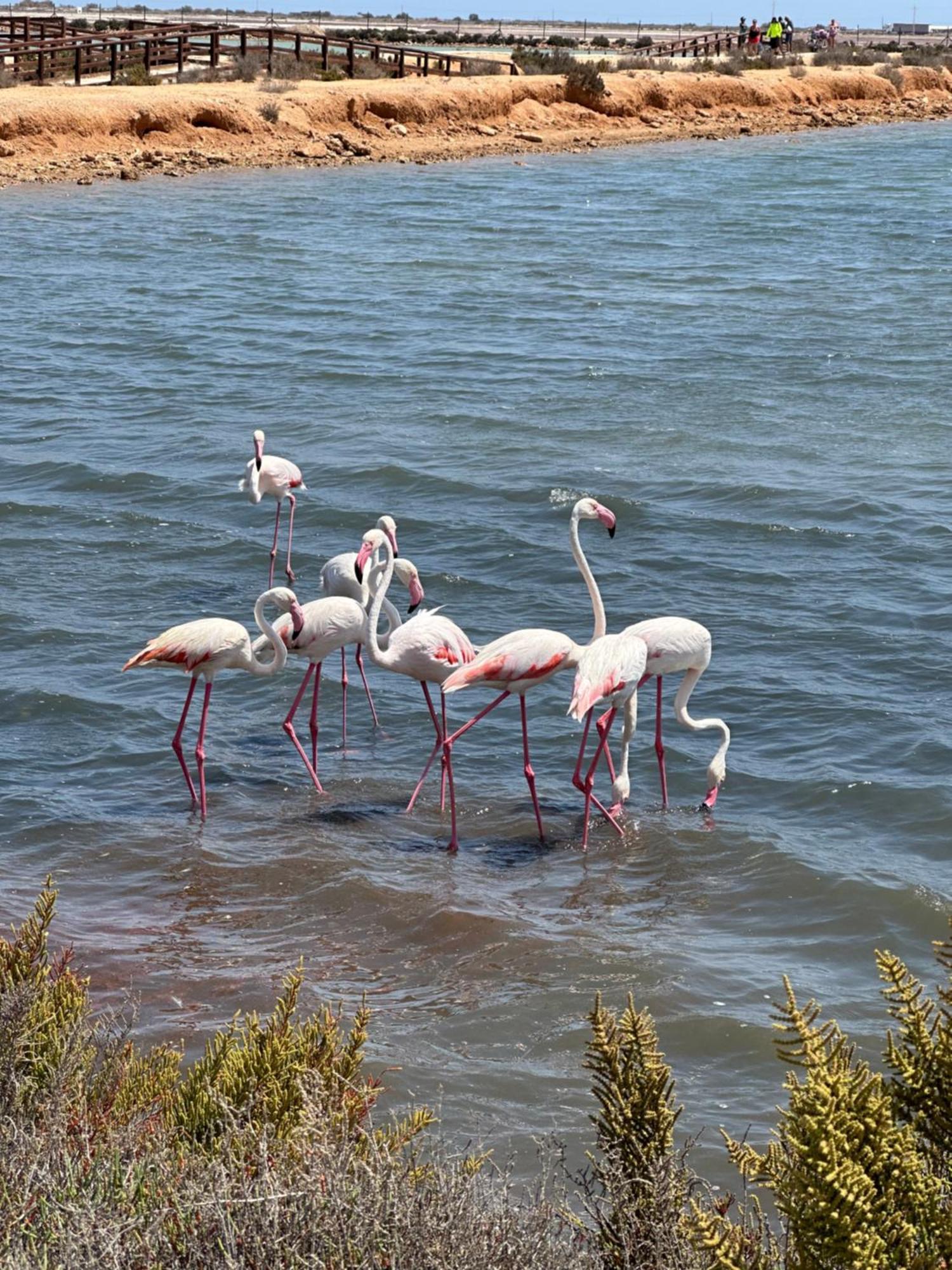 Mar Menor Paradise By Los Pinos Holidays San Pedro del Pinatar Exterior photo